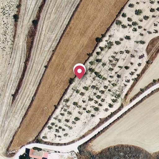 Foto aérea de la subasta en Aramunt