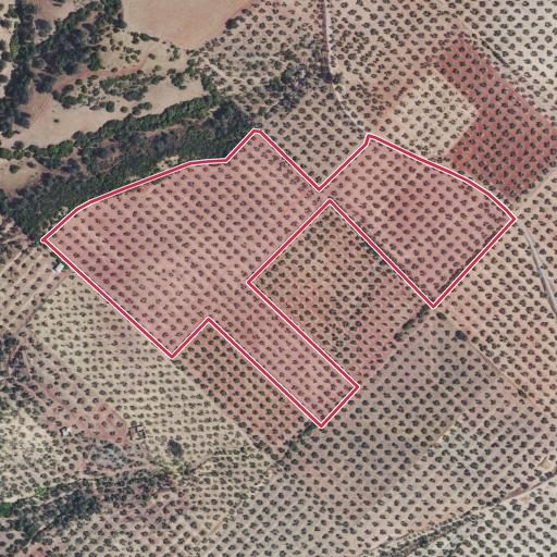 Vista aérea del bien 1: Finca rústica, Carboneros
