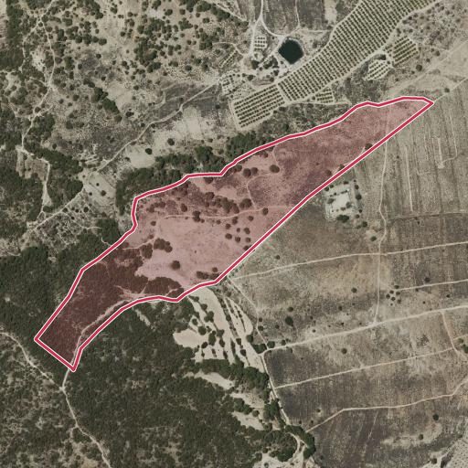 Vista aérea del bien 12: Finca rústica, San Miguel de Salinas