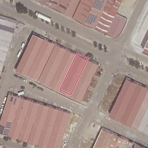 Foto aérea de la subasta en Olivenza