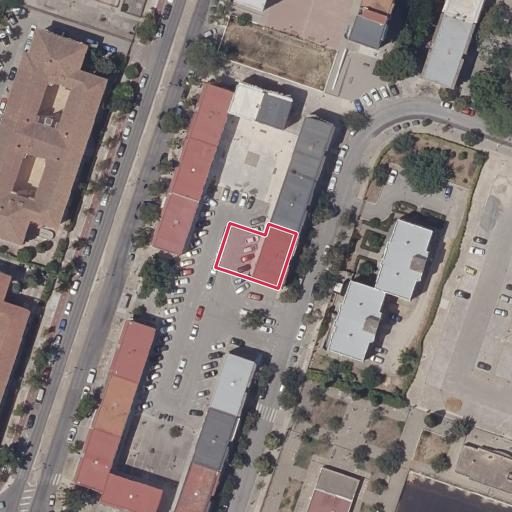 Foto aérea de la subasta en Jerez de la Frontera