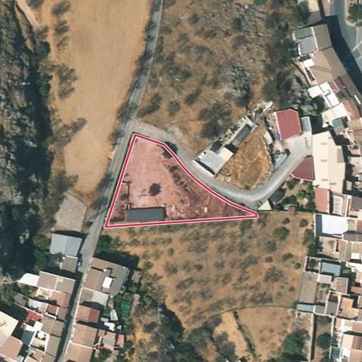 Foto aérea de la subasta en Luque