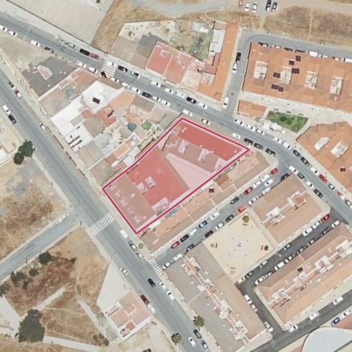 Foto aérea de la subasta en Gibraleon