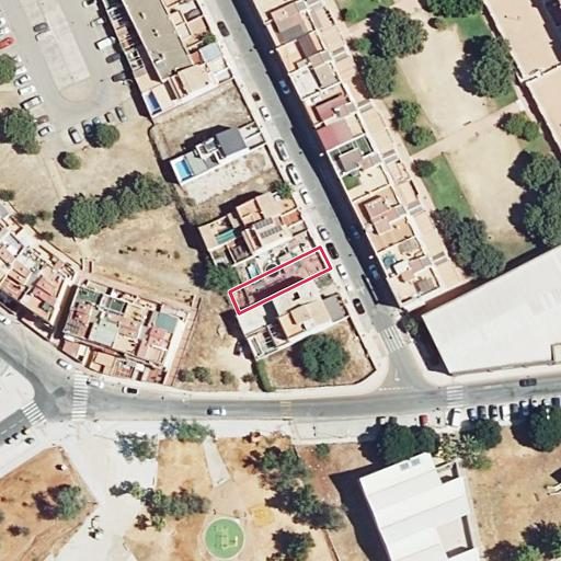 Foto aérea de la subasta en Alcala de Guadaira