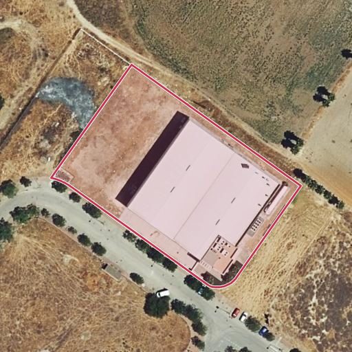Foto aérea de la subasta en Jerez de la Frontera