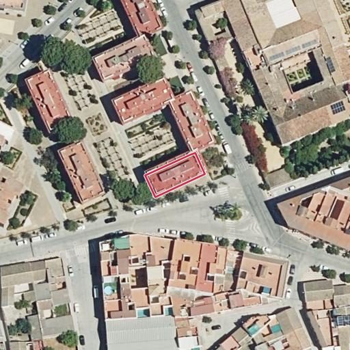 Foto aérea de la subasta en Palma del Rio