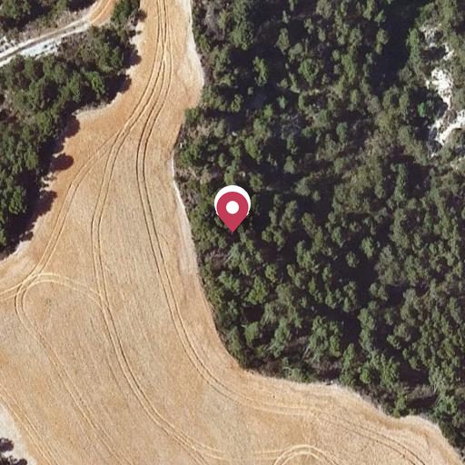 Foto aérea de la subasta en Santa Margarida de Montbui