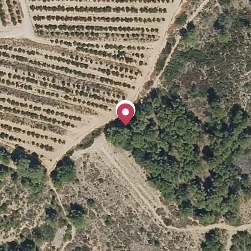 Foto aérea de la subasta en Montroy