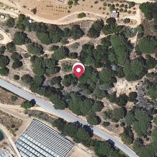 Foto aérea de la subasta en Arenys de Munt