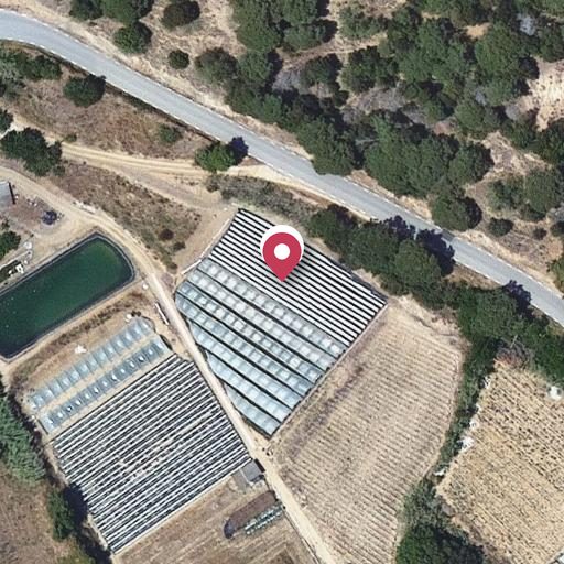 Foto aérea de la subasta en Arenys de Munt