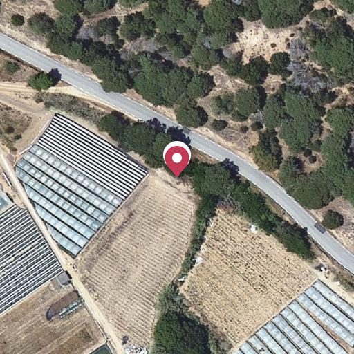 Foto aérea de la subasta en Arenys de Munt