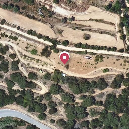 Foto aérea de la subasta en Arenys de Munt
