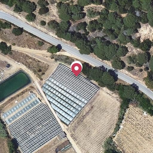 Foto aérea de la subasta en Arenys de Munt