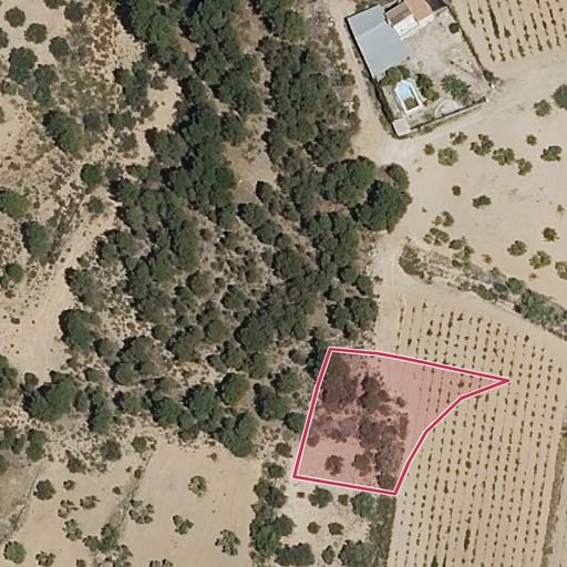 Foto aérea de la subasta en Venta del Moro