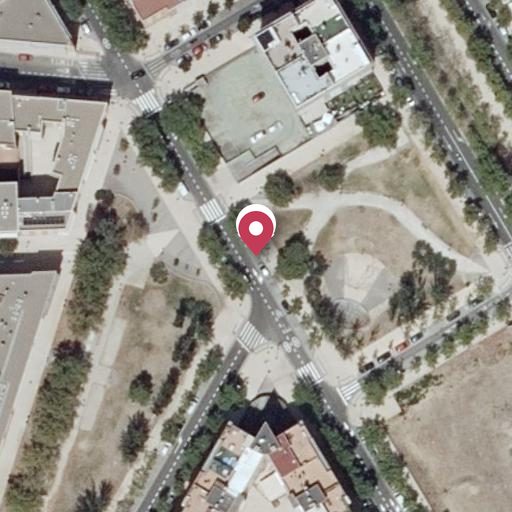 Foto aérea de la subasta en Zaragoza
