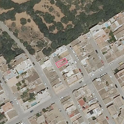 Foto aérea de la subasta en Felanitx