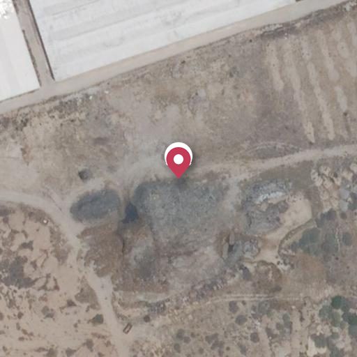 Foto aérea de la subasta en El Ejido