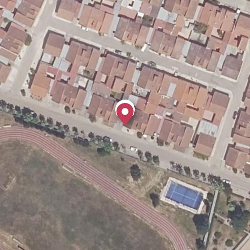 Foto aérea de la subasta en Vegaviana