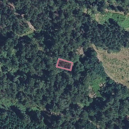 Foto aérea de la subasta en Monterrei