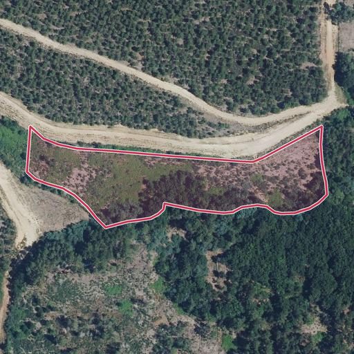 Foto aérea de la subasta en Monterrei