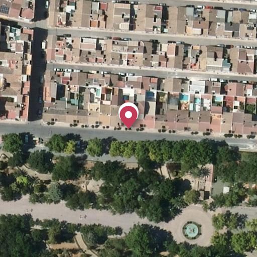 Foto aérea de la subasta en Torredonjimenor