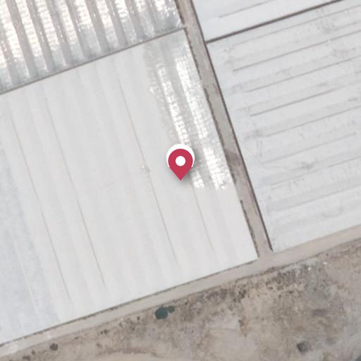 Foto aérea de la subasta en El Ejido