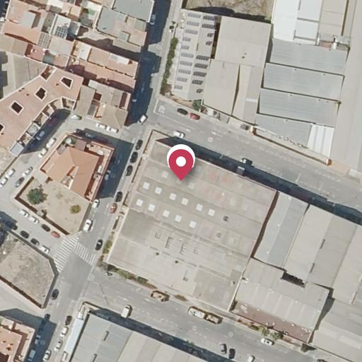 Foto aérea de la subasta en Rafelbuñol