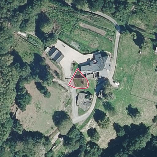 Foto aérea de la subasta en Santa Eulalia de Oscos