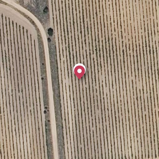 Foto aérea de la subasta en Toro