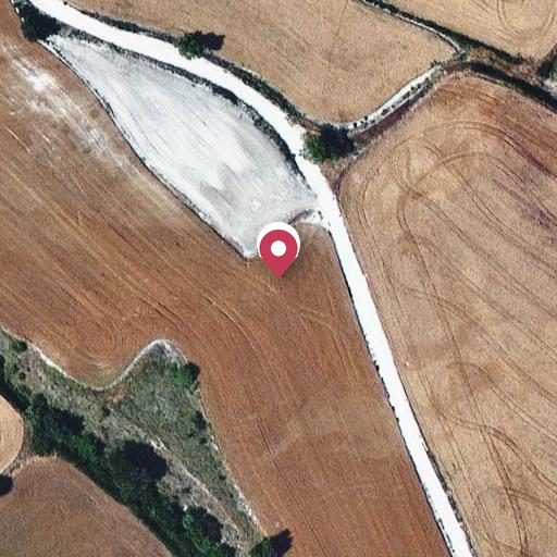 Foto aérea de la subasta en Santa Coloma de Queralt