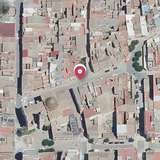 Foto aérea de la subasta en Albalat de la Ribera