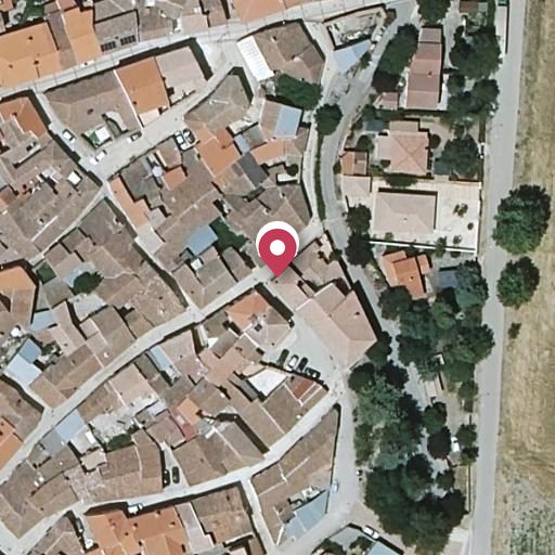 Foto aérea de la subasta en Vianos