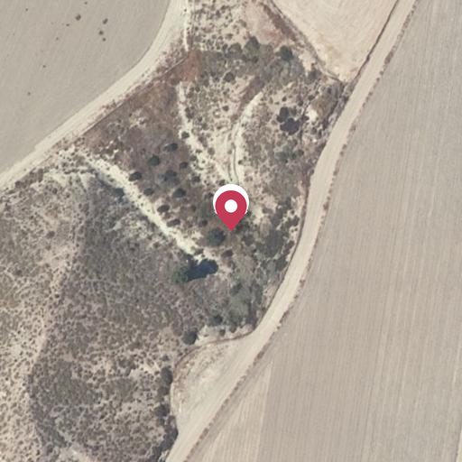 Foto aérea de la subasta en Cuevas del Almanzora