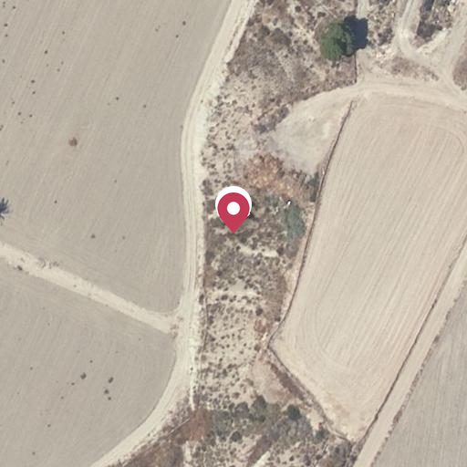 Foto aérea de la subasta en Cuevas del Almanzora