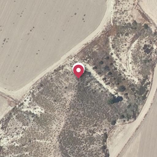 Foto aérea de la subasta en Cuevas del Almanzora