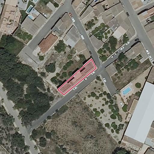 Foto aérea de la subasta en Santa Margalida