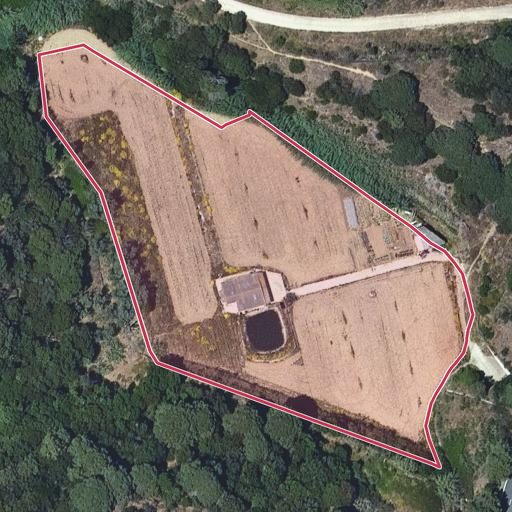 Foto aérea de la subasta en Pineda de Mar