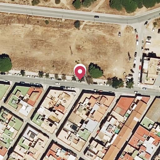 Foto aérea de la subasta en Barbate