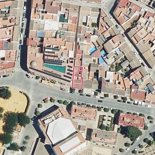 Foto aérea de la subasta en Palma del Rio
