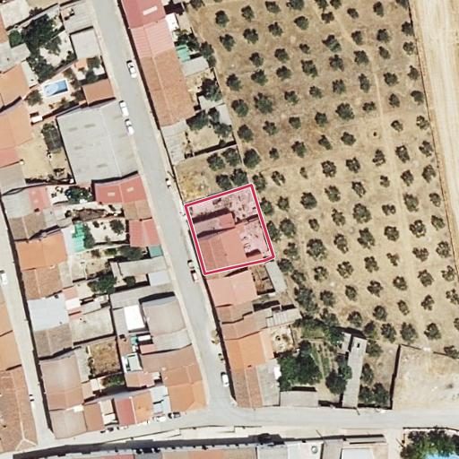 Foto aérea de la subasta en La Coronada