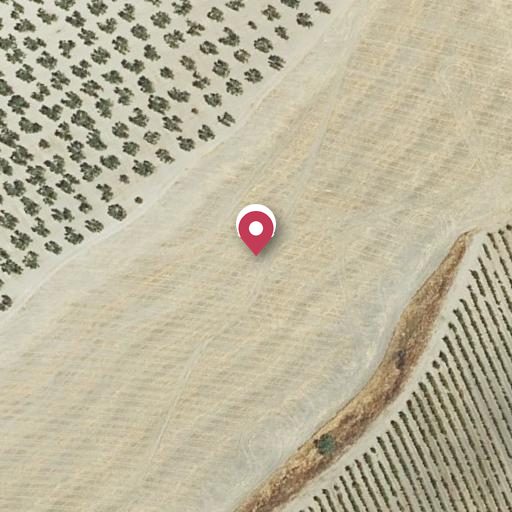 Foto aérea de la subasta en Montemayor