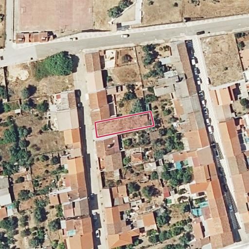 Foto aérea de la subasta en Rosal de la Frontera