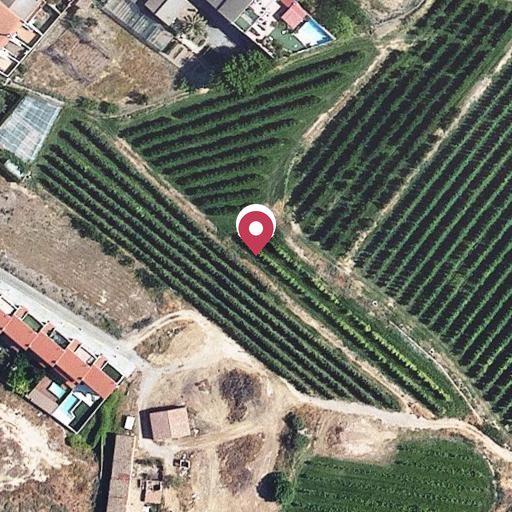 Foto aérea de la subasta en Lleida