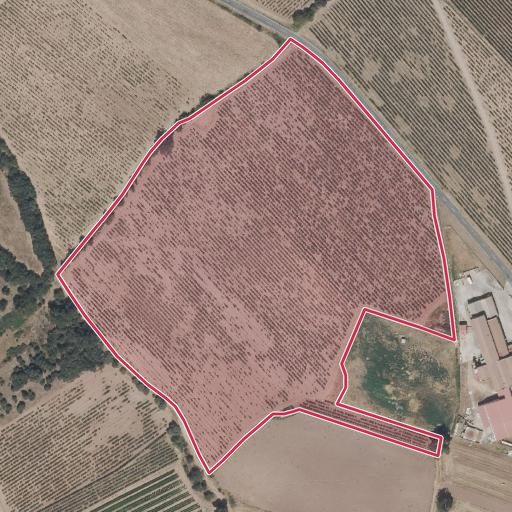 Foto aérea de la subasta en Manjarres