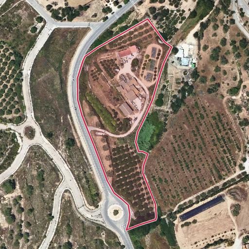 Foto aérea de la subasta en La Pobla de Montornes