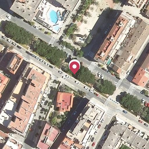 Foto aérea de la subasta en La Rápita