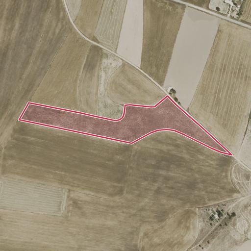 Foto aérea de la subasta en Tembleque