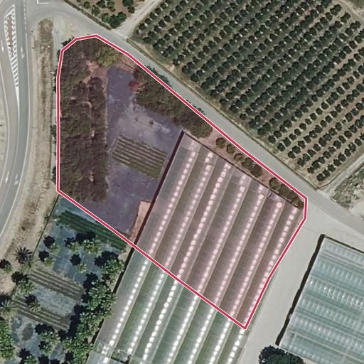 Foto aérea de la subasta en Alcudia (l')