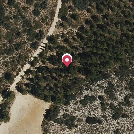 Foto aérea de la subasta en Alcoy
