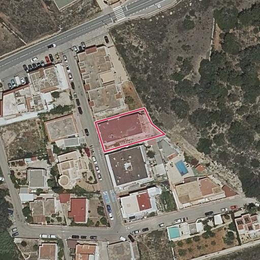Foto aérea de la subasta en Santa Eulalia del Rio